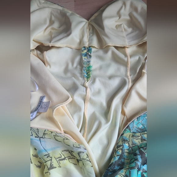 Nicole Bakti Vintage Low Back Silk Pleated Dress - Picture 12 of 14